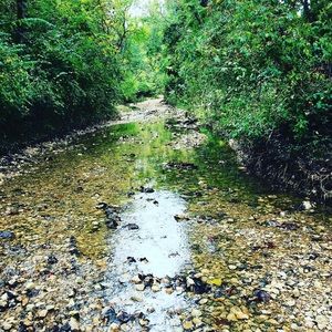 Meet your Posher, Jd